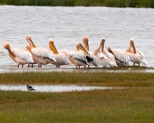 Africa-2018-Ngorongoro21