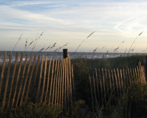 IMG_0459