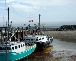 DSC_1463