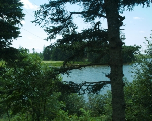DSC_1540