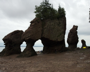 DSC_1483