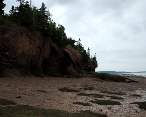 DSC_1488