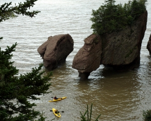 DSC_1512