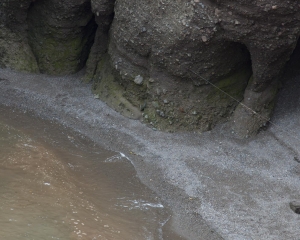DSC_1521