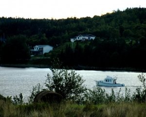 DSC_1834