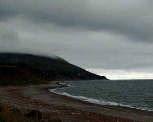 DSC_1764