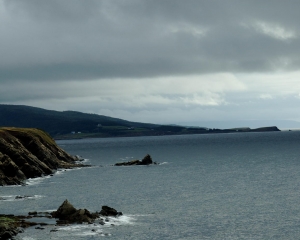 DSC_1782