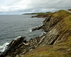DSC_1786