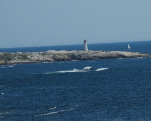 DSC_1841