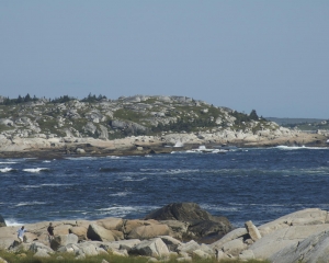 DSC_1851