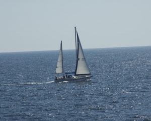 DSC_1869