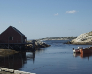 DSC_1900