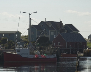 DSC_1910