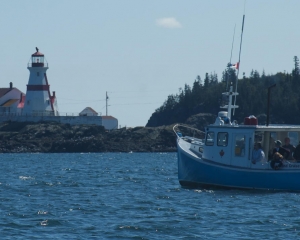 DSC_1931