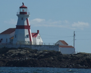 DSC_1976