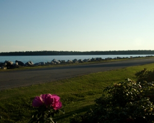 DSC_1988