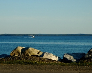 DSC_1992