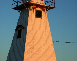 DSC_1557