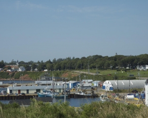 DSC_1637