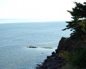 DSC_1649