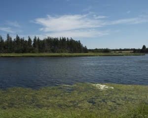 DSC_1686