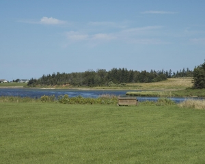 DSC_1692
