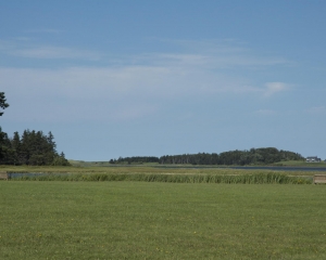 DSC_1693