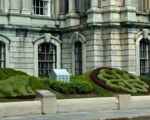 DSC_1245