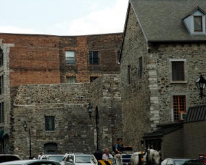 DSC_1321
