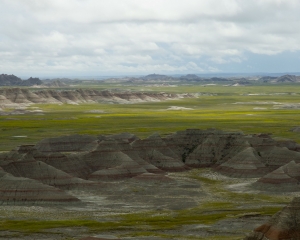 DSC_5333 DSC_5333