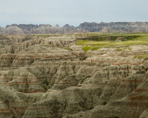 DSC_5338 DSC_5338