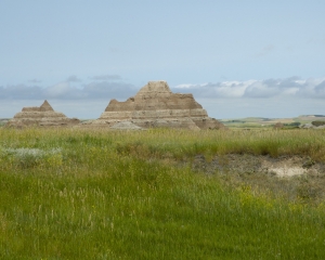 DSC_5342 DSC_5342