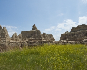 DSC_5395 DSC_5395