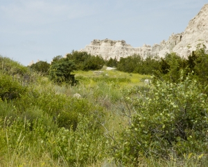 DSC_5417 DSC_5417