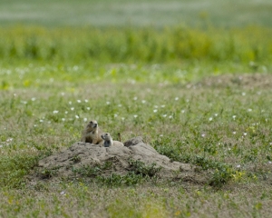 DSC_5459 DSC_5459