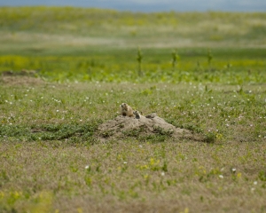 DSC_5460 DSC_5460