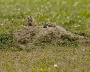 DSC_5463 DSC_5463