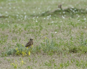 DSC_5464 DSC_5464