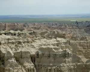 DSC_5493 DSC_5493