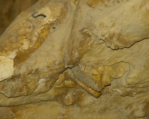 DSC_5804 DSC_5804