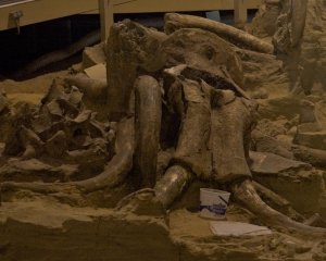 DSC_5837 DSC_5837