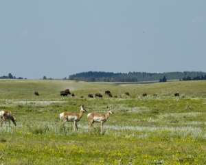 DSC_5862 DSC_5862