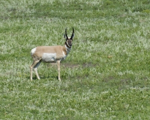 DSC_5876 DSC_5876