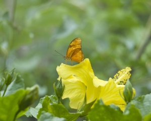 DSC_5062 DSC_5062