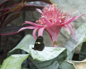 DSC_5084 DSC_5084