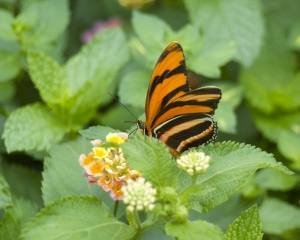 DSC_5103 DSC_5103