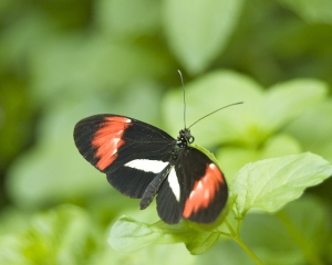 DSC_5111 DSC_5111
