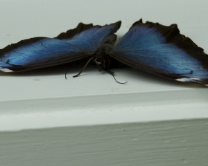 DSC_5118 DSC_5118