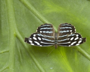 DSC_5126 DSC_5126