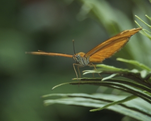 DSC_5154 DSC_5154